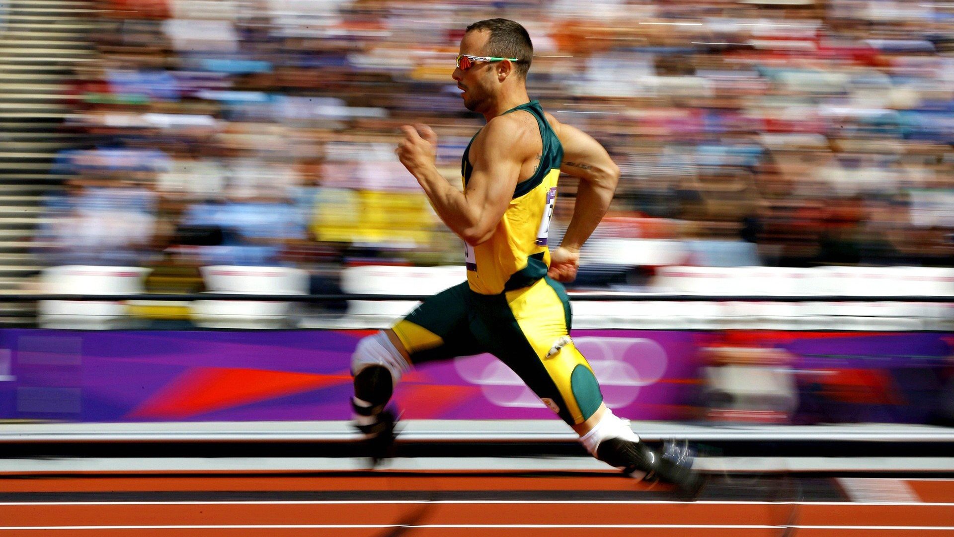 体育新闻最新排行榜